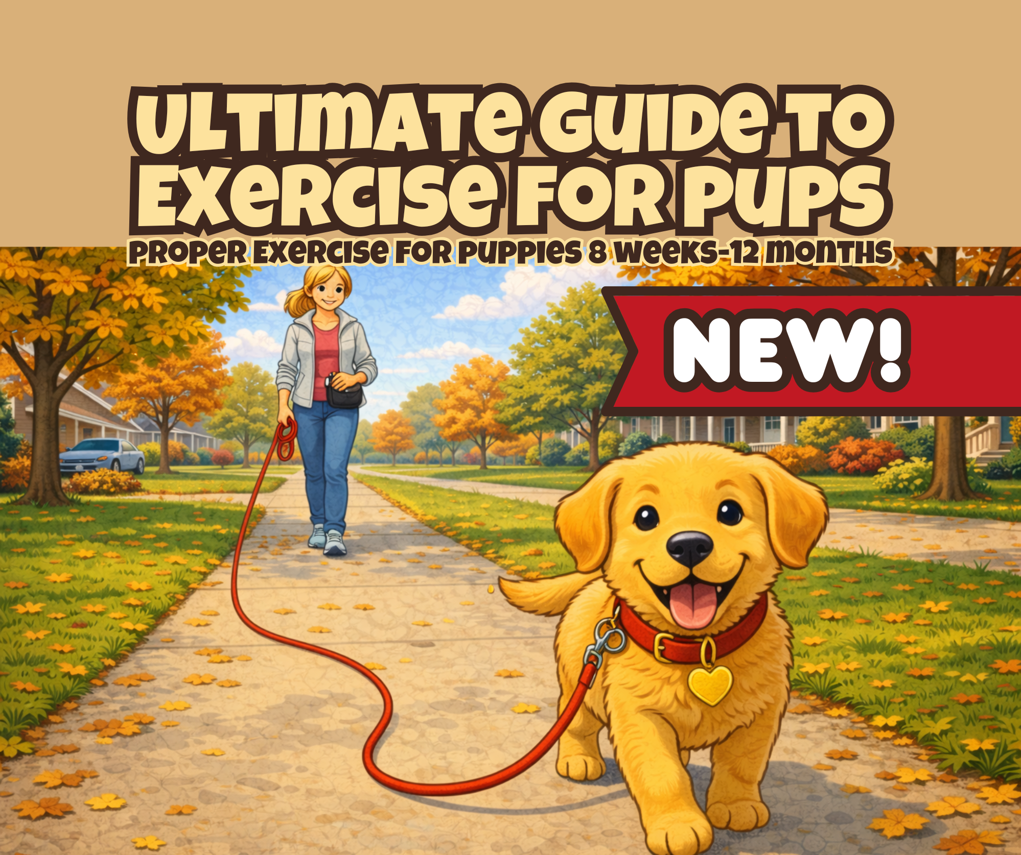 Ultimate Guide to Exercise for Pups
